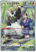 PASSIMIAN S8B 203/184