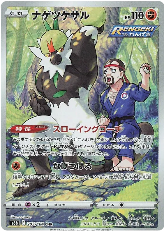 PASSIMIAN S8B 203/184