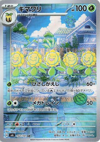 SUNFLORA SV6 102/101