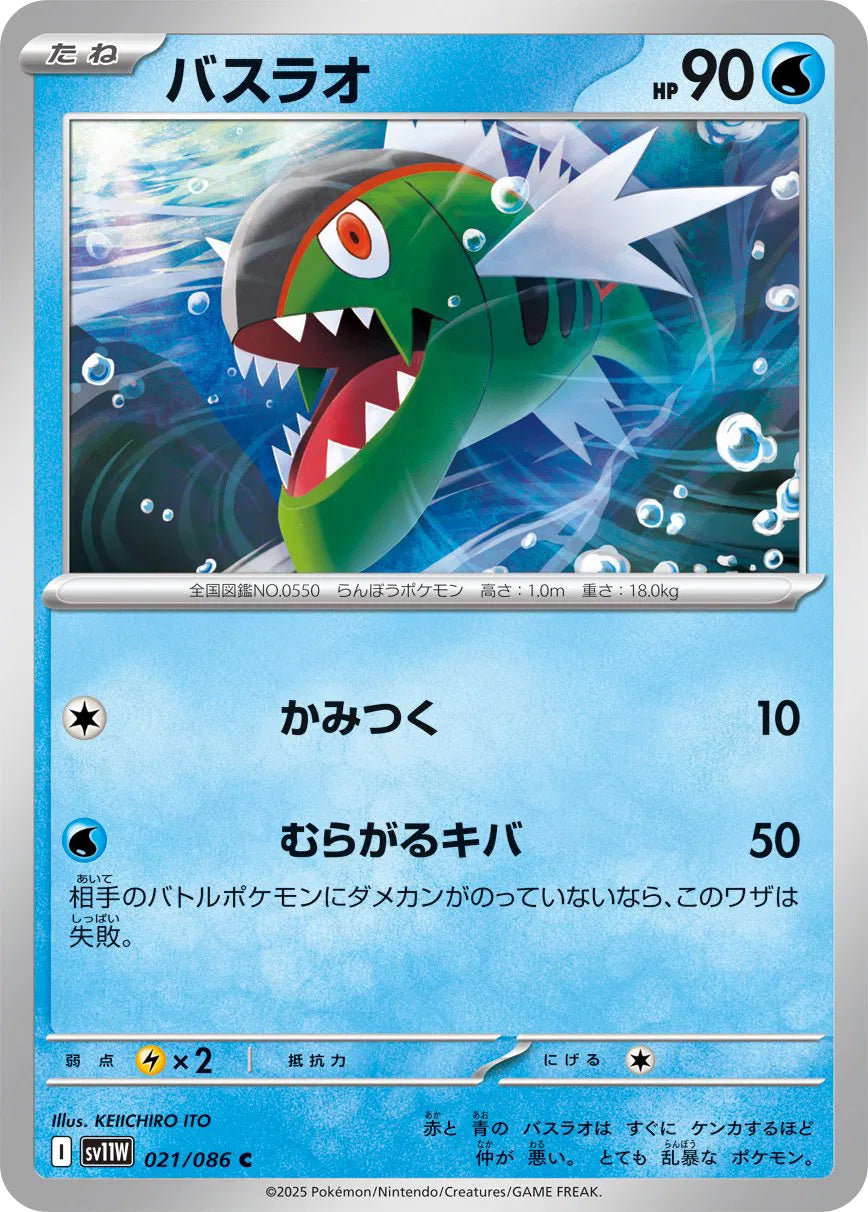 BASCULIN SV1W 021/086